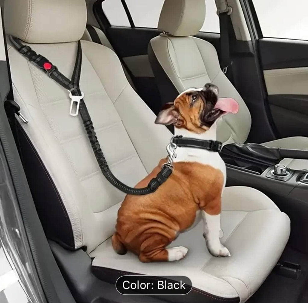 Vehicle Seat Belt Safety Leash Harness HPZ Pet Rover