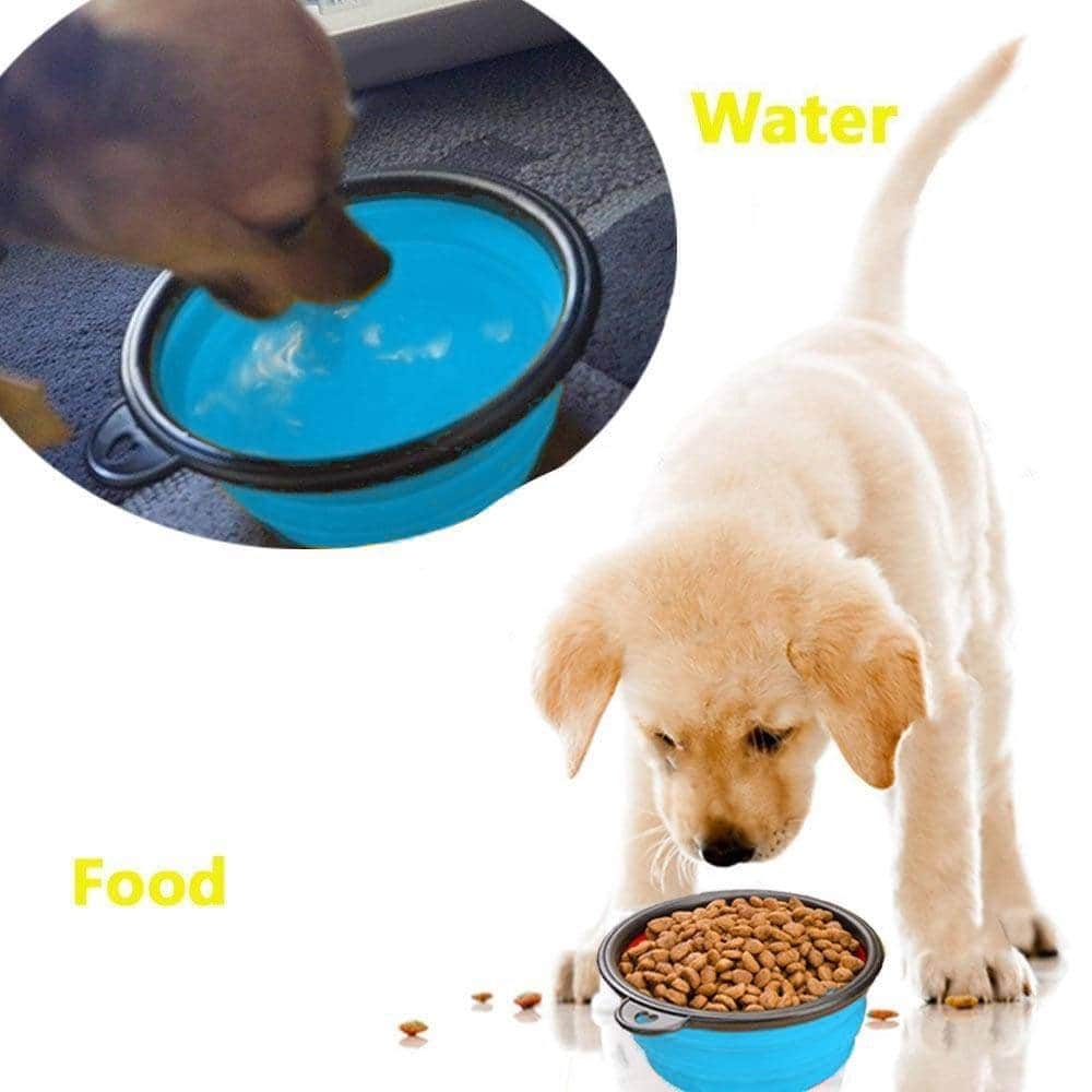 Blue Elevated Pet Bowls with Non Slip Stand and Silicone Collapsible Bowls  16 Ounces, 1 unit - Fry's Food Stores