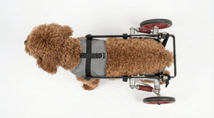 HPZ™ K9pedic Posture-Flex Sit2Stand Mobility Wheelchair for Small