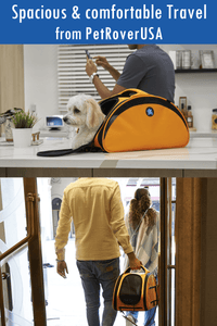 HPZ™ Bingo Multi-Functional Pet Travel Carrier Bag/Car Seat/Bed/Airline  In-Cabin Compatible (Sunrise Orange)