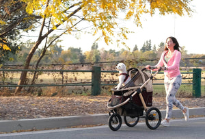 hpz pet rover run performance jogging sports stroller Buy Taupe Pet Stroller for Small, Medium or Large Dogs & Cats– HPZ Pet Rover