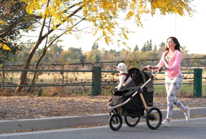 Emerging Gear: Hands-Free Running Stroller, Ketchup Powder, Zero