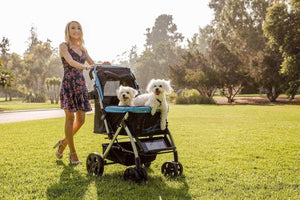 Hpz pet rover online premium heavy duty